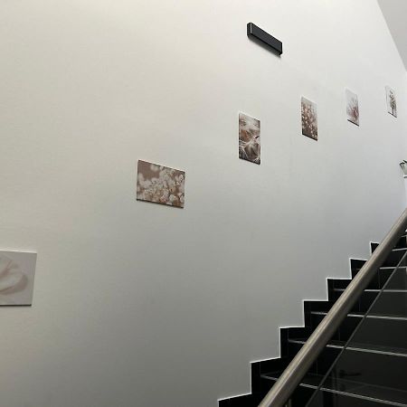 Paky Appartements 00323 Bruck an der Leitha Εξωτερικό φωτογραφία